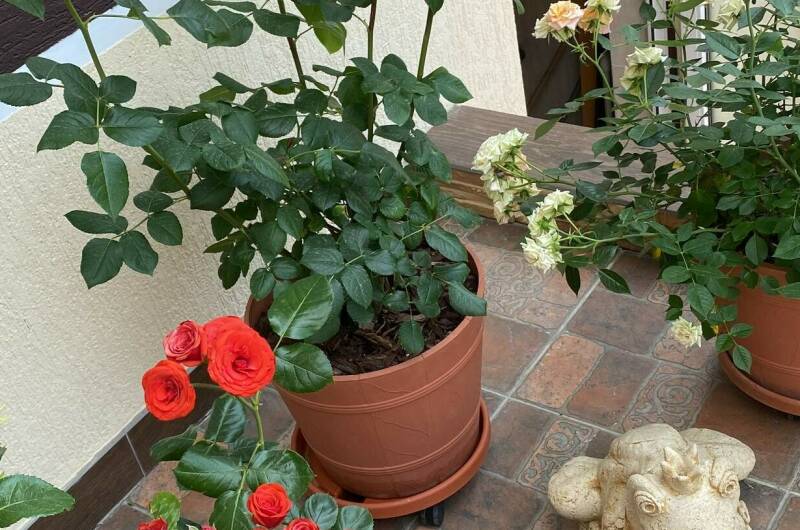 Изображение Изображение гостиницы "Гостевой дом «Анна» с апартаментами" #4 #4