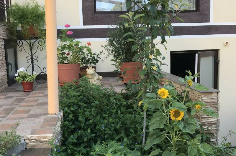 Изображение Изображение гостиницы "Гостевой дом «Анна» с апартаментами" #5 #5