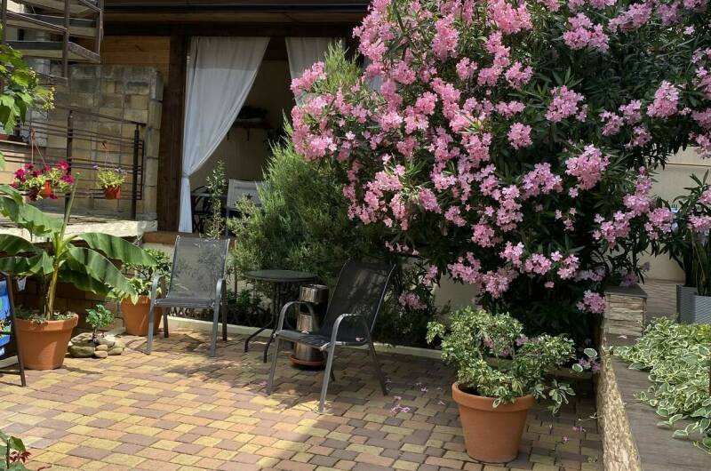 Изображение Изображение гостиницы "Гостевой дом «Анна» с апартаментами" #6 #6