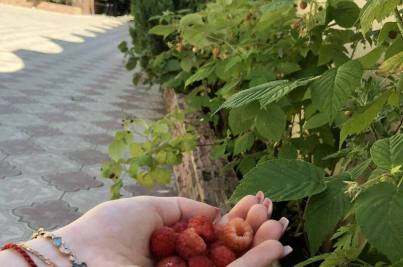 Изображение Изображение гостиницы "Частный сектор «Дом у реки»" #5 #5