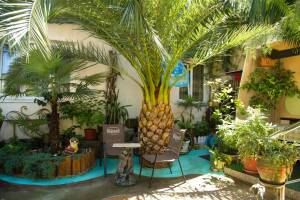 Изображение Адлера #4