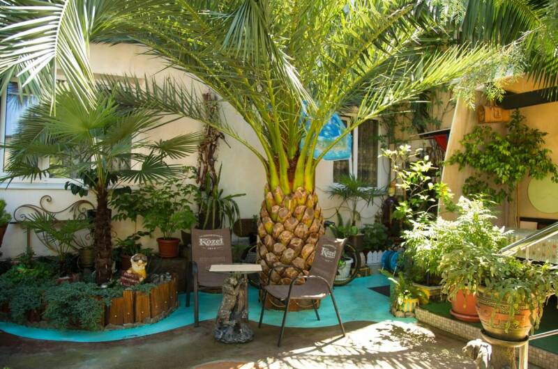 Изображение Изображение гостиницы "Гостевой дом «TipTop»" #1 #1