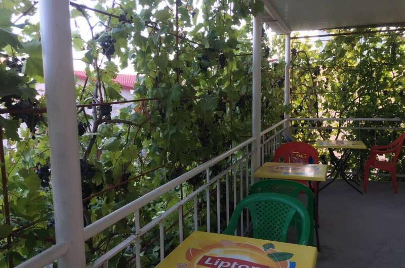 Изображение Изображение гостиницы &quot;Гостевой дом «Зеленый дворик»&quot; #7 #7