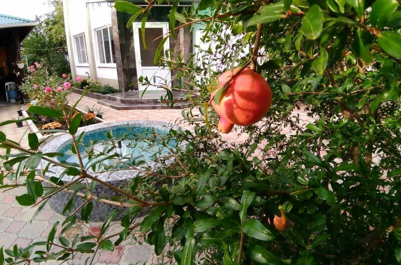 Изображение Изображение отеля / гостиницы "Частное домовладение «Иваныч»" #10 #8