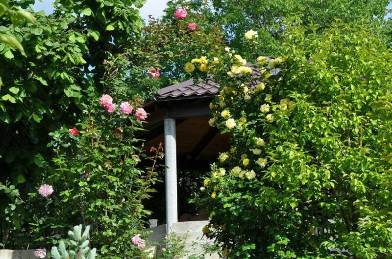 Изображение Изображение гостиницы "Частный сектор «Bonjour»" #6 #6