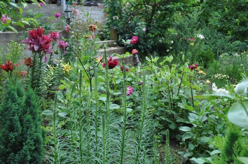 Изображение Изображение гостиницы "Частный сектор «Bonjour»" #7 #7