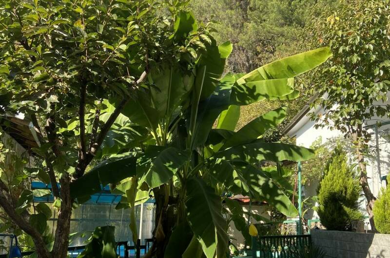 Изображение Изображение гостиницы &quot;Гостевой дом «Ника»&quot; #6 #6