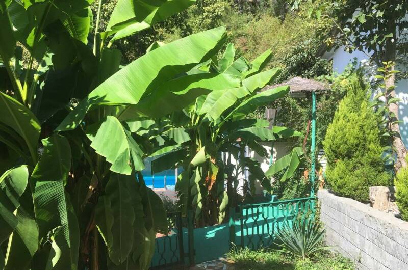 Изображение Изображение гостиницы &quot;Гостевой дом «Ника»&quot; #8 #8