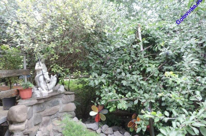 Изображение Изображение гостиницы "Гостевой дом «Пальмовая роща»" #2 #2