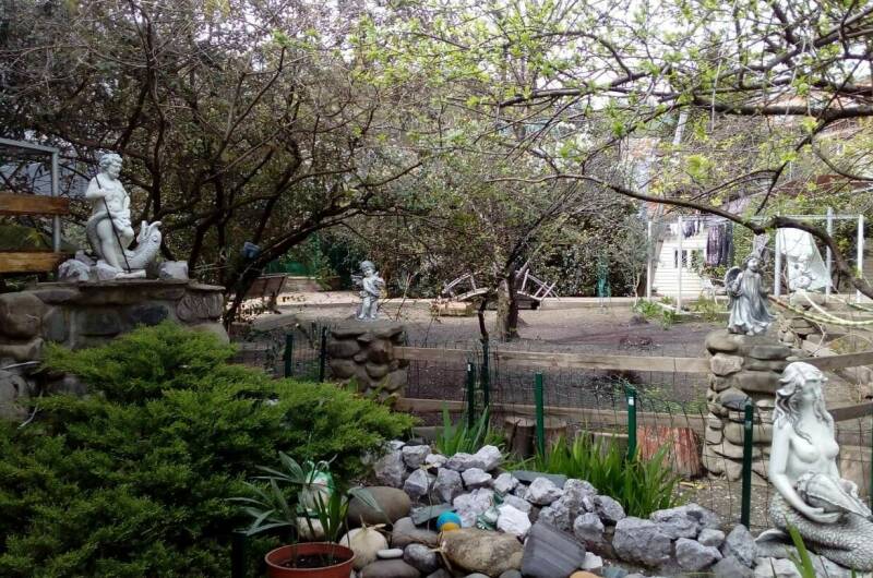 Изображение Изображение гостиницы "Гостевой дом «Пальмовая роща»" #3 #3