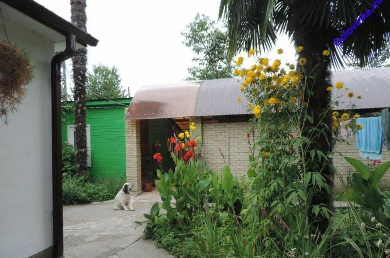 Изображение Изображение гостиницы "Гостевой дом «Пальмовая роща»" #4 #4