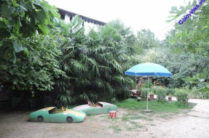 Изображение Изображение гостиницы "Гостевой дом «Пальмовая роща»" #5 #5