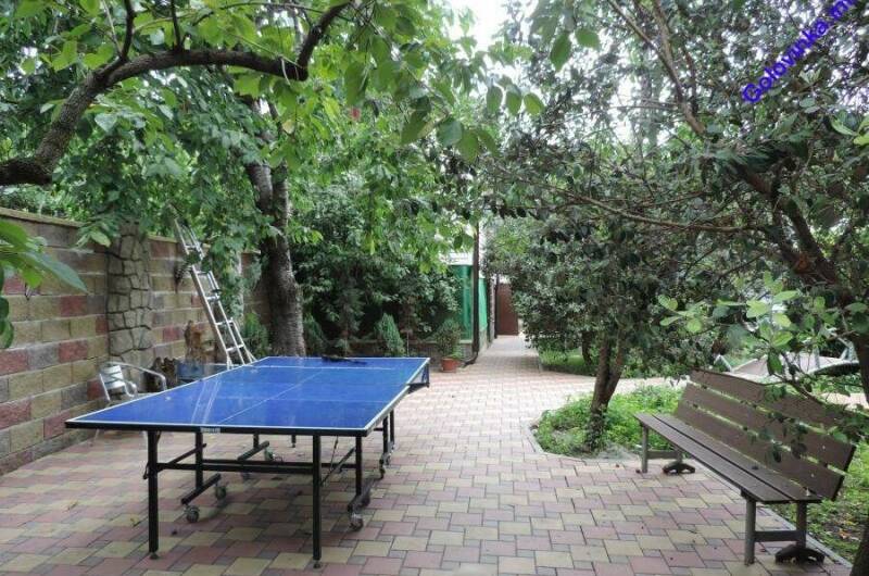 Изображение Изображение гостиницы "Гостевой дом «Пальмовая роща»" #8 #8