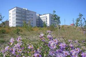 Изображение Апартаменты для отдыха #6