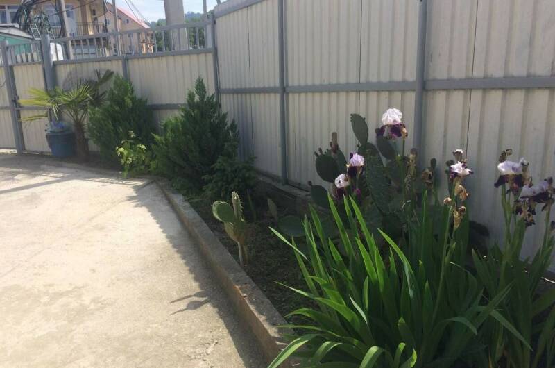 Изображение Изображение гостиницы "Гостевой дом «Магнолия»" #6 #6