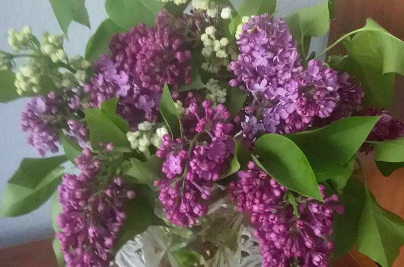 Изображение Изображение гостиницы &quot;Гостевой дом «У Галины»&quot; #6 #6