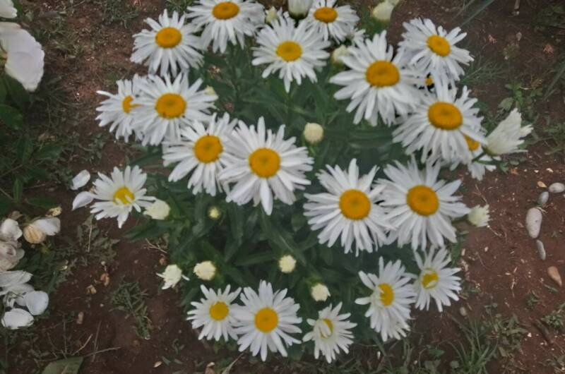 Изображение Изображение гостиницы &quot;Гостевой дом «У Галины»&quot; #7 #7