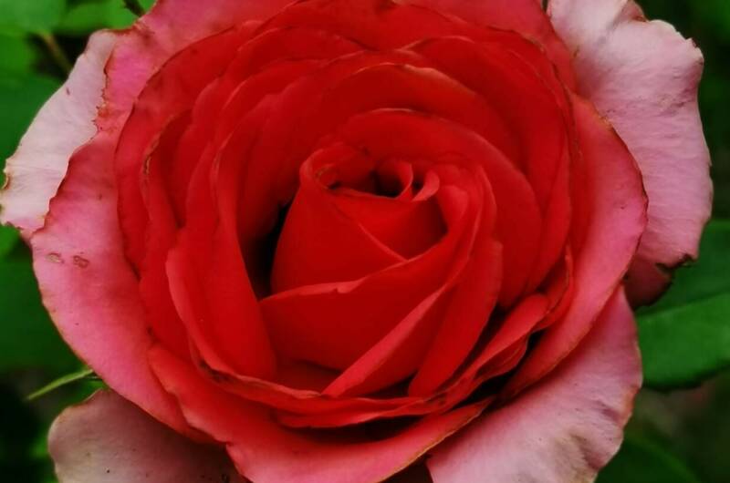 Изображение Изображение гостиницы "Гостевой дом «Анна»" #2 #2