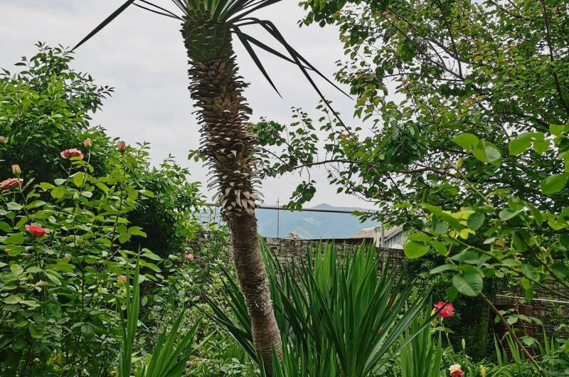 Изображение Изображение гостиницы "Гостевой дом «Анна»" #3 #3