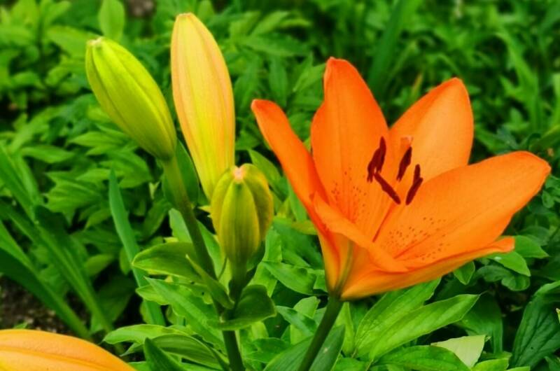 Изображение Изображение гостиницы "Гостевой дом «Анна»" #7 #7