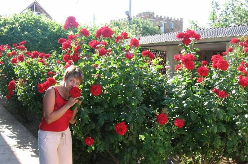 Изображение Изображение гостиницы &quot;Гостевой дом «Андреевский Флаг»&quot; #6 #6