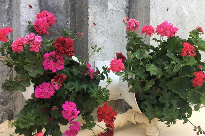 Изображение Изображение отеля / гостиницы "Гостевой дом «У Аси»" #11 #9