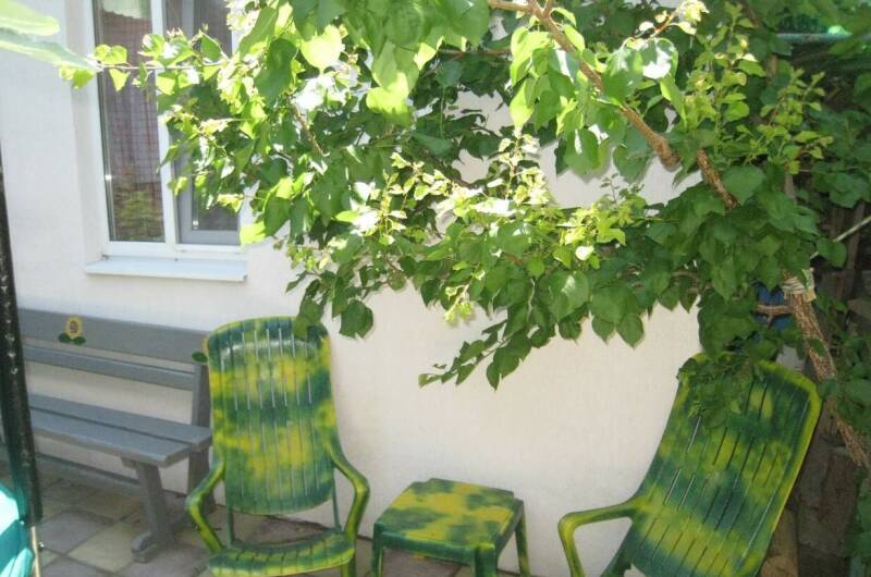 Изображение Изображение гостиницы "Частный дом «Для Друзей»" #6 #6