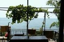 Изображение Изображение гостиницы &quot;Гостевой дом «У Карины»&quot; #1 #1