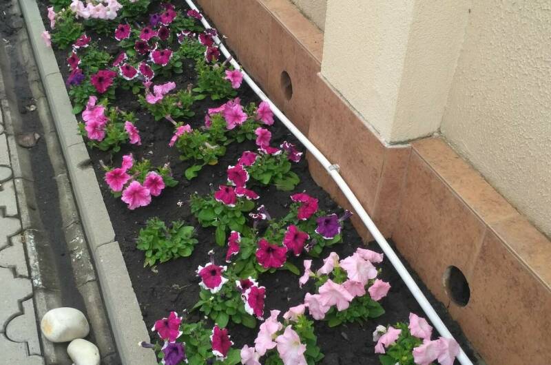 Изображение Изображение гостиницы "Гостевой дом «Светлана»" #3 #3