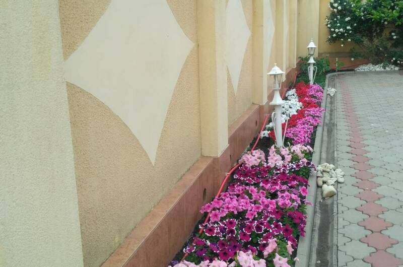 Изображение Изображение гостиницы "Гостевой дом «Светлана»" #6 #6