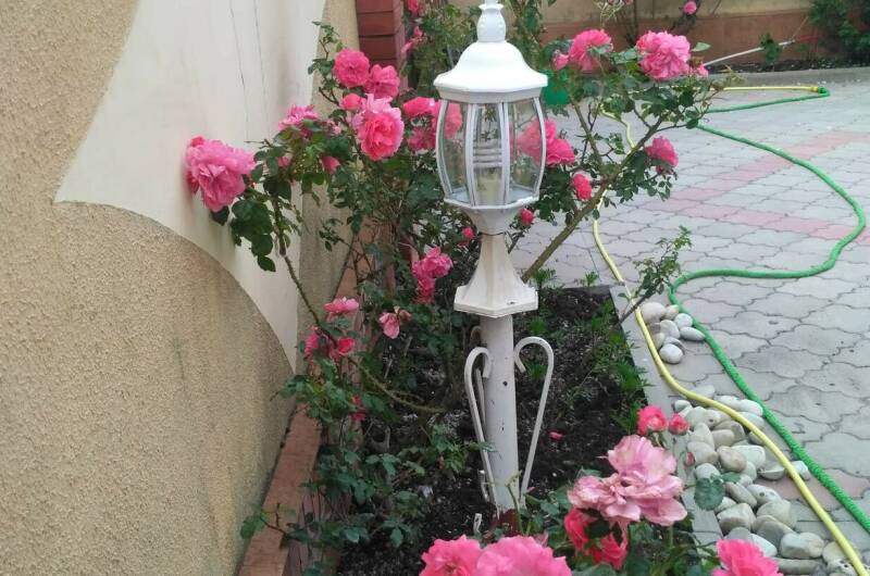 Изображение Изображение гостиницы "Гостевой дом «Светлана»" #8 #8