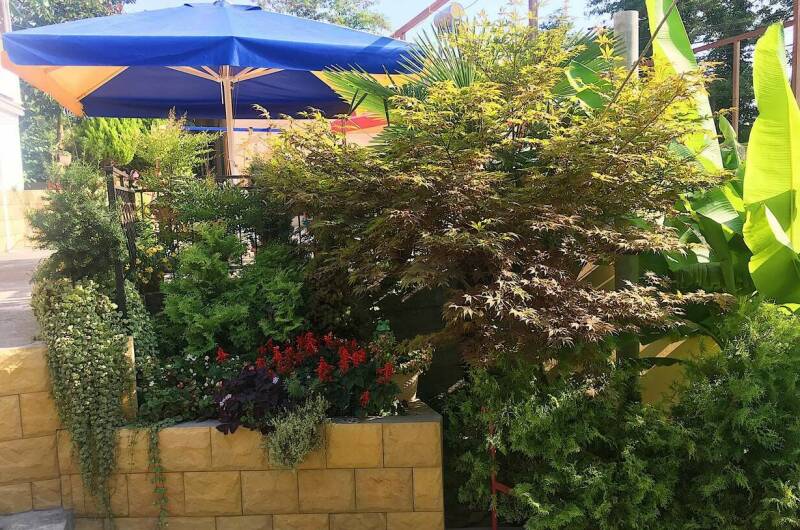 Изображение Изображение гостиницы "Гостевой дом «Ника»" #6 #6