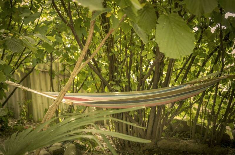 Изображение Изображение отеля / гостиницы "База отдыха «Сосновый бор»" #10 #8