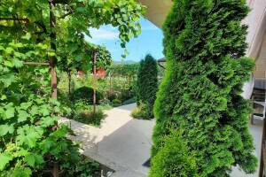 Изображение отеля / гостиницы "Частный сектор «Белый Какаду»"