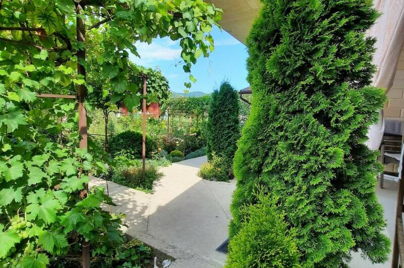 Изображение Изображение гостиницы "Частный сектор «Белый Какаду»" #1 #1