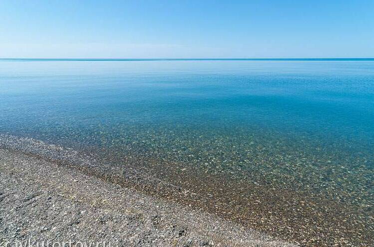 Изображение Изображение гостиницы "Частный сектор «Белый Какаду»" #2 #2