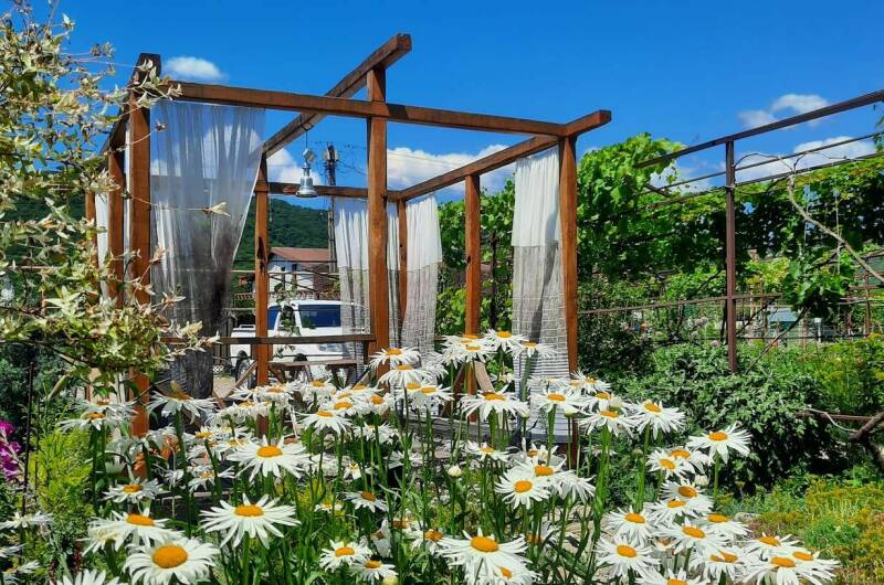 Изображение Изображение гостиницы "Частный сектор «Белый Какаду»" #3 #3