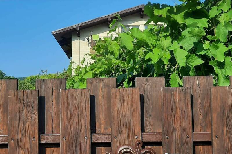 Изображение Изображение гостиницы "Частный сектор «Белый Какаду»" #7 #7