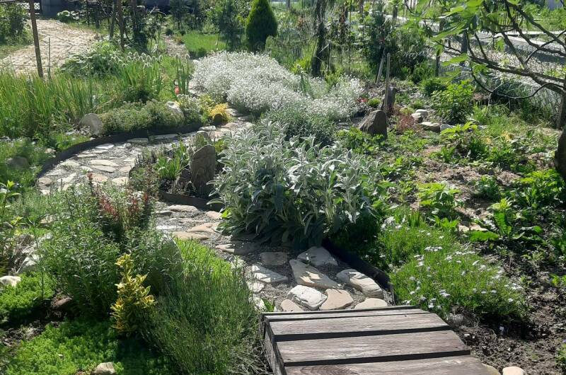 Изображение Изображение отеля / гостиницы "Частный сектор «Белый Какаду»" #11 #9