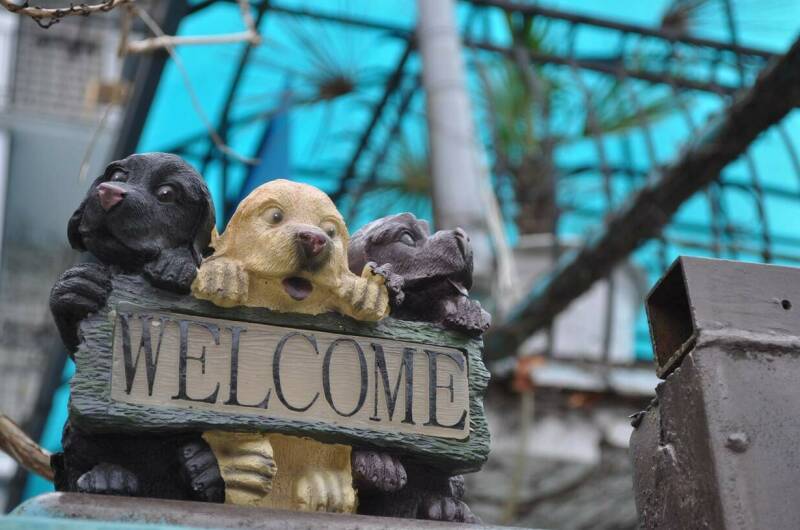 Изображение Изображение гостиницы &quot;Гостиница «Нина»&quot; #1 #1