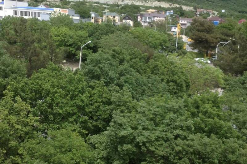 Изображение Изображение квартиры "Однокомнатная квартира" #5 #5