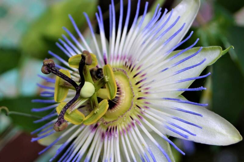 Изображение Изображение гостиницы "Гостевой дом «О, Море, Море»" #7 #7