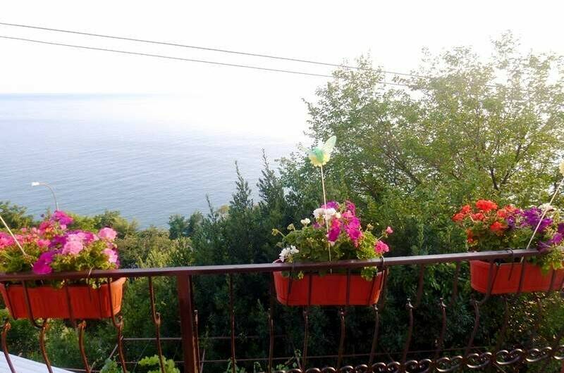 Изображение Изображение гостиницы &quot;Частный сектор «Ажен»&quot; #3 #3