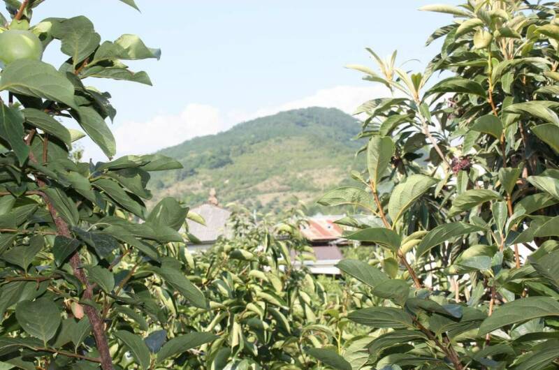 Изображение Изображение гостиницы "Гостевой дом «Аррива»" #2 #2