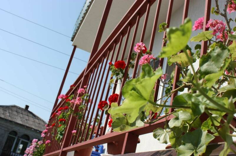 Изображение Изображение гостиницы "Гостевой дом «Аррива»" #8 #8