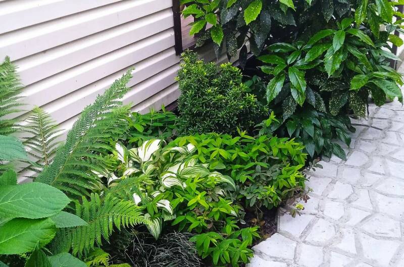 Изображение Изображение квартиры "Коттедж под ключ «Бриз»" #7 #7