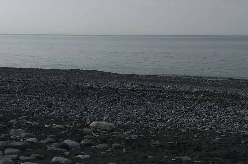 Изображение Изображение квартиры / апартамента "Коттедж под ключ «Бриз»" #10 #8