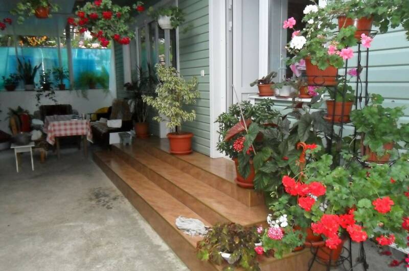 Изображение Изображение гостиницы &quot;Частный сектор «Троянда»&quot; #2 #2