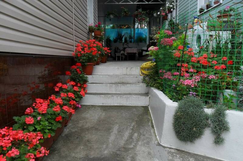 Изображение Изображение гостиницы &quot;Частный сектор «Троянда»&quot; #7 #7