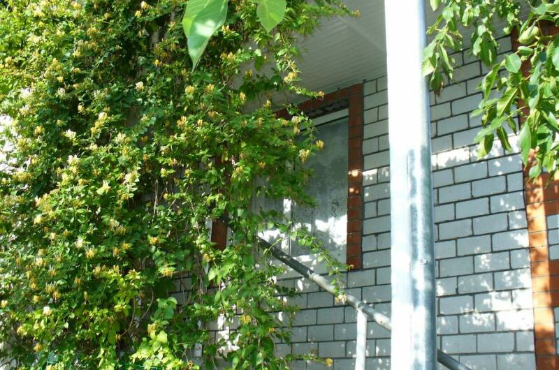 Изображение Изображение отеля / гостиницы "Частный дом «Солнечная 39»" #11 #9